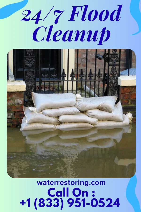 24/7 Flood Cleanup in Jonesboro, IL