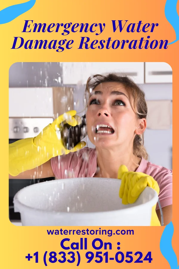 Emergency Water Damage Restoration in Jonesboro, IL