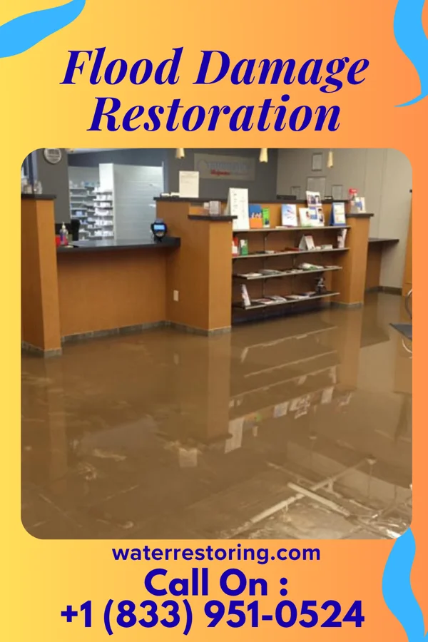 Flood Damage Restoration in Jonesboro, IL