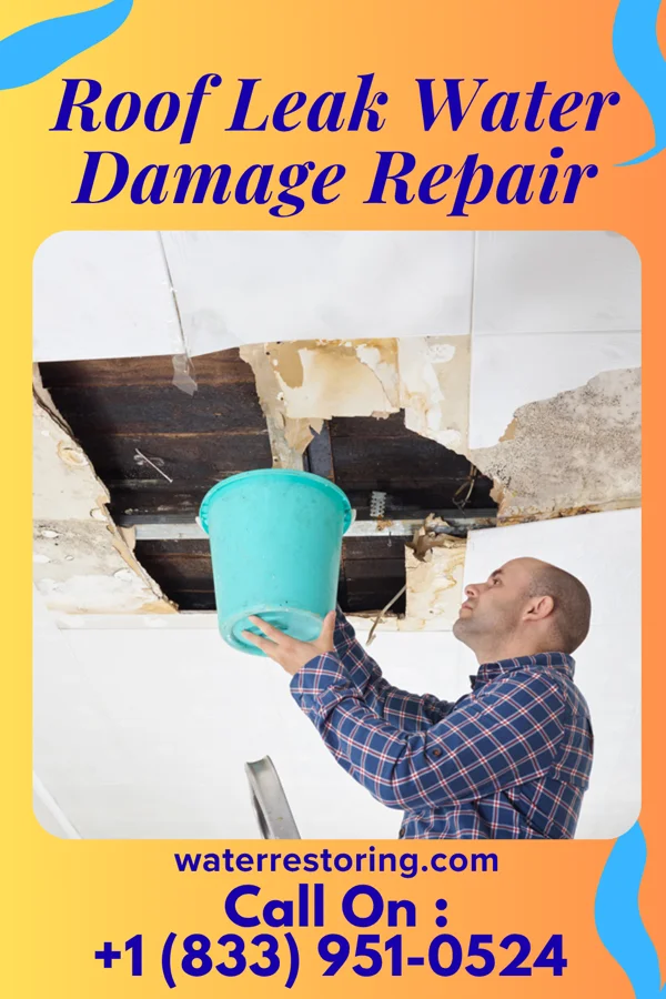 Roof Leak Water Damage Repair in Jonesboro, IL